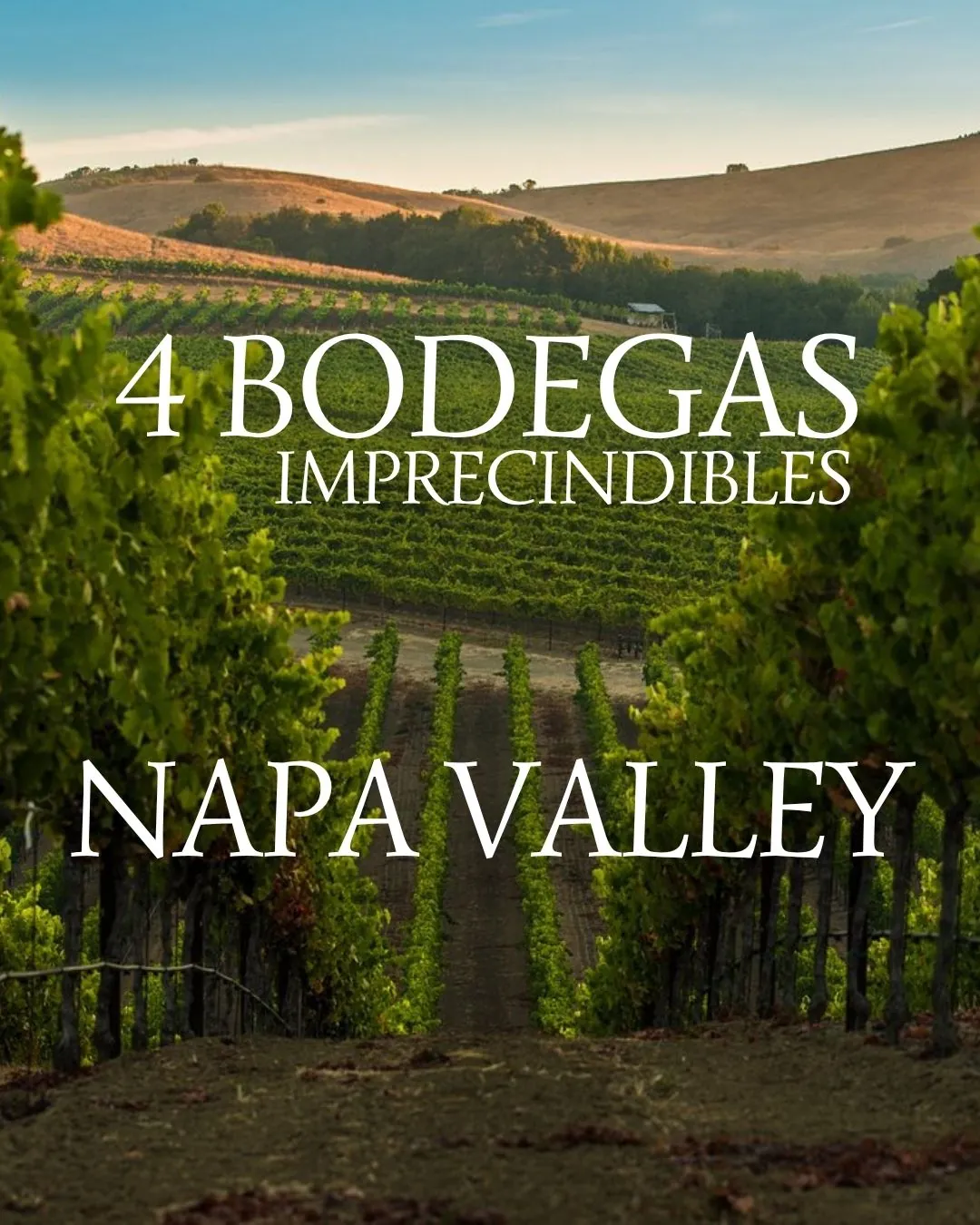 Entrada principal de una bodega en Napa Valley con viñedos al fondo