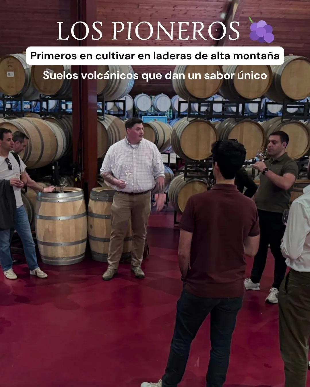 Mesa de picnic de madera lista para una cata exterior en Pritchard Hill con botellas de vino y vistas al lago