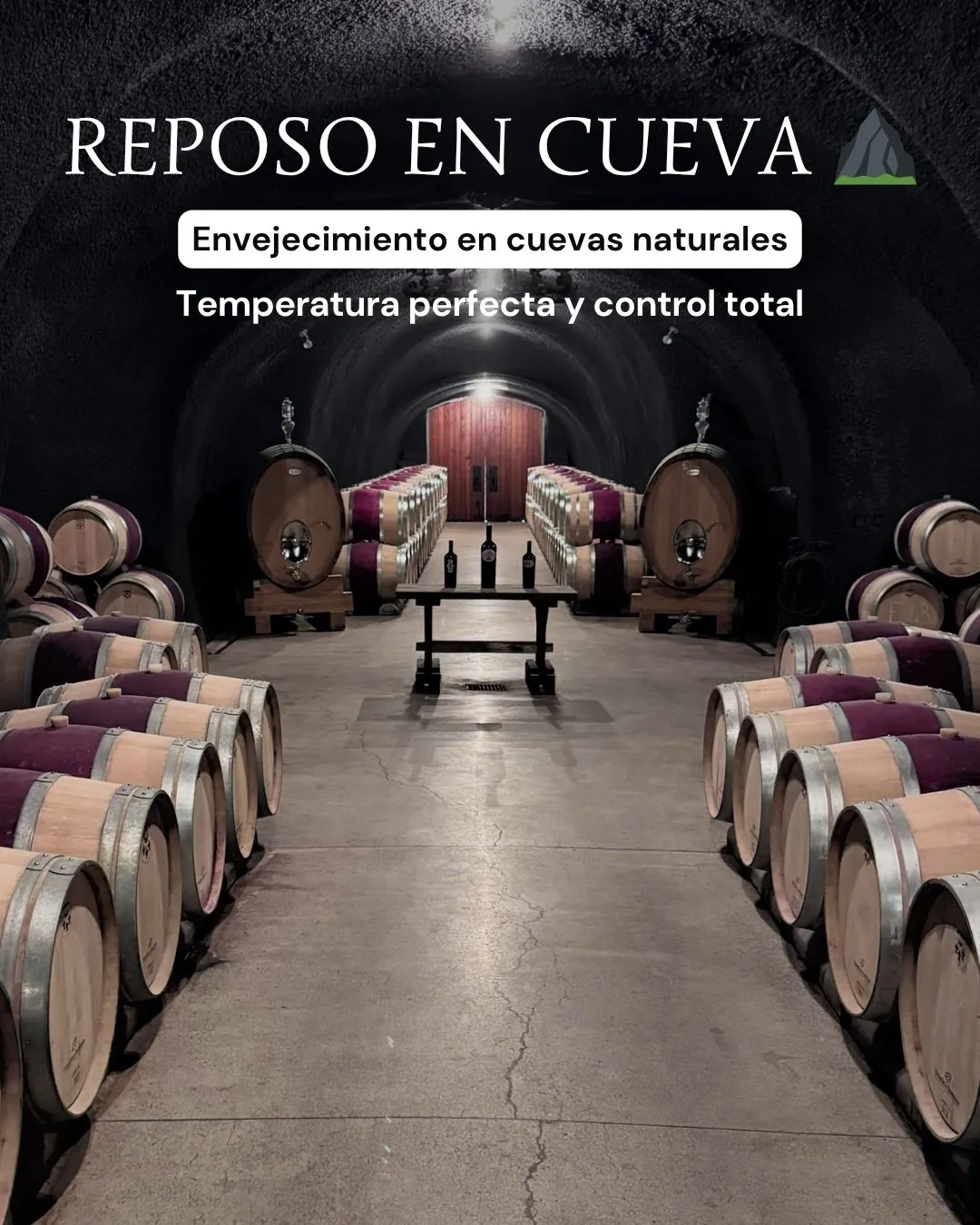 Mesa de cata con copas de vino tinto y notas de degustación