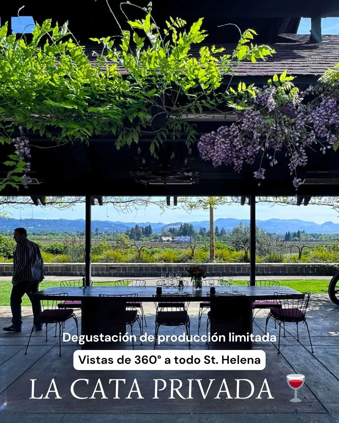 Botellas de vino etiquetadas en una estantería de bodega
