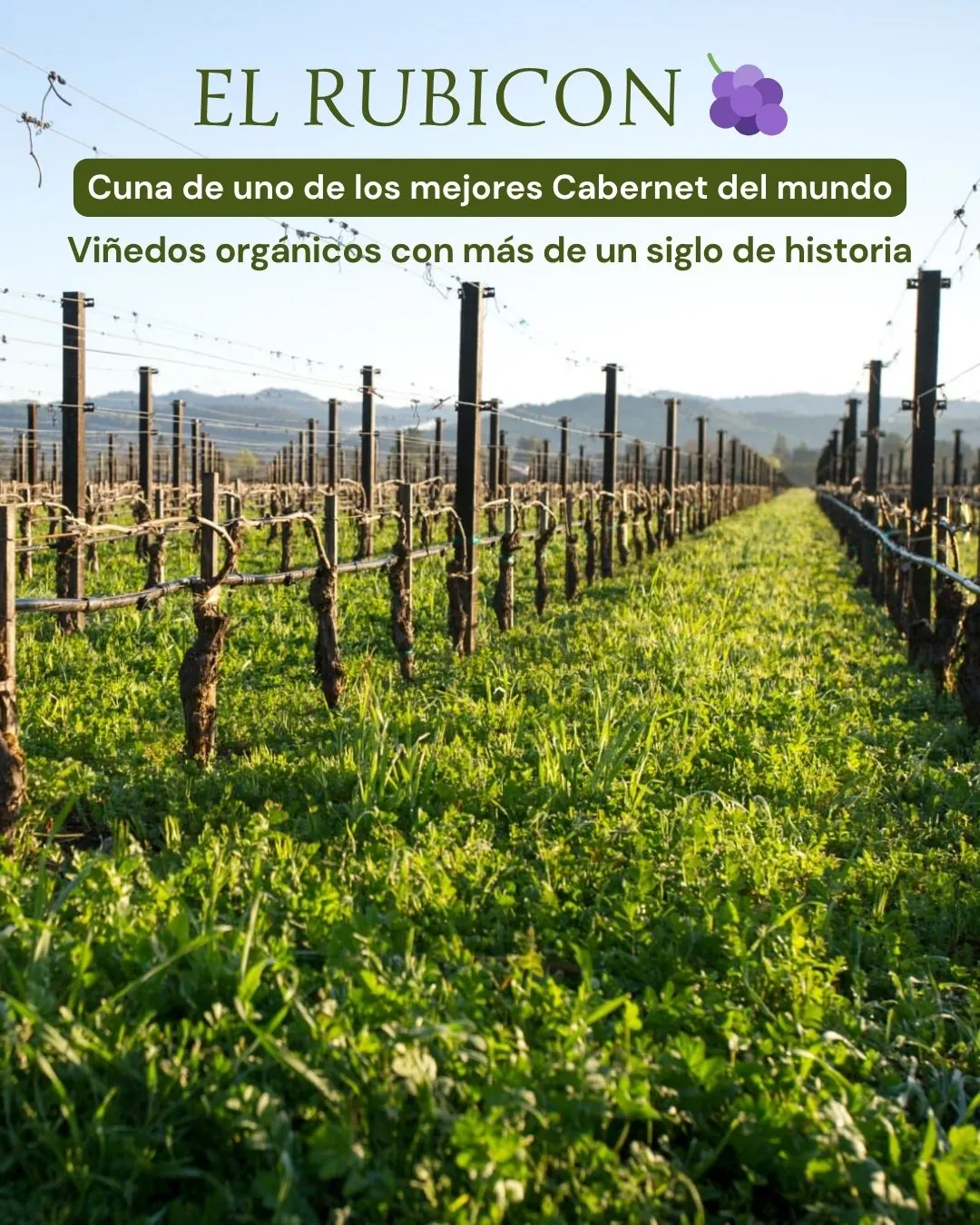 Vista panorámica del valle desde una terraza de bodega
