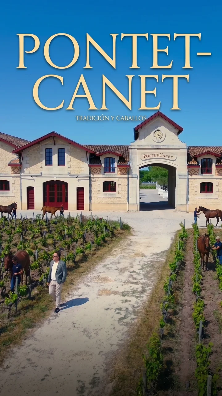 Pontet Canet - vino de colección